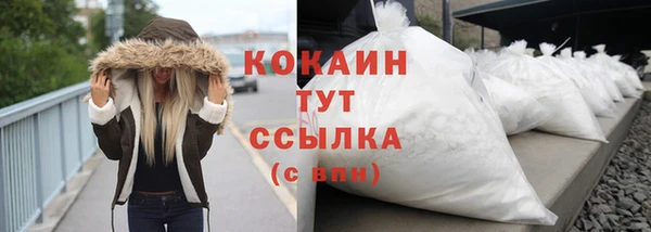 гидра Арсеньев