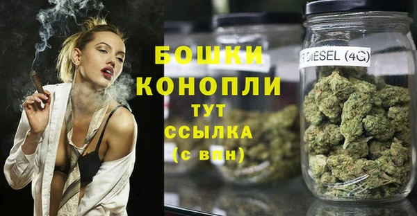 твердый Аркадак