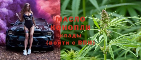 гидра Арсеньев