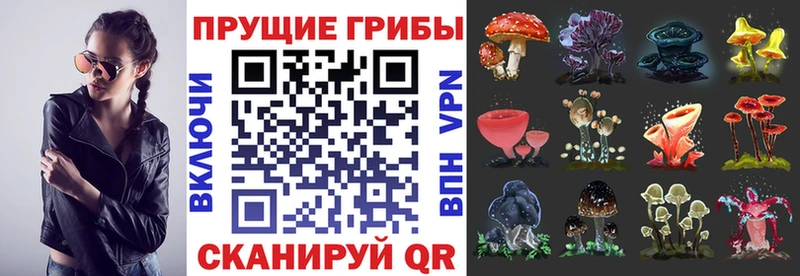 Псилоцибиновые грибы Cubensis  Рузаевка 
